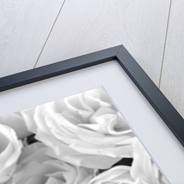 Full frame of roses by Assaf Frank